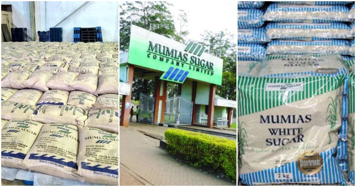 Boni Khalwale ravi de voir le sucre de Mumias prêt pour le marché après des années de troubles