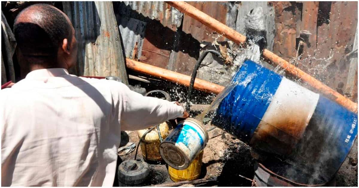 William Ruto ordonne aux chefs de fermer tous les joints vendant de la bière illicite : "Hatuwezi Kubali Nchi Ya Walevi"