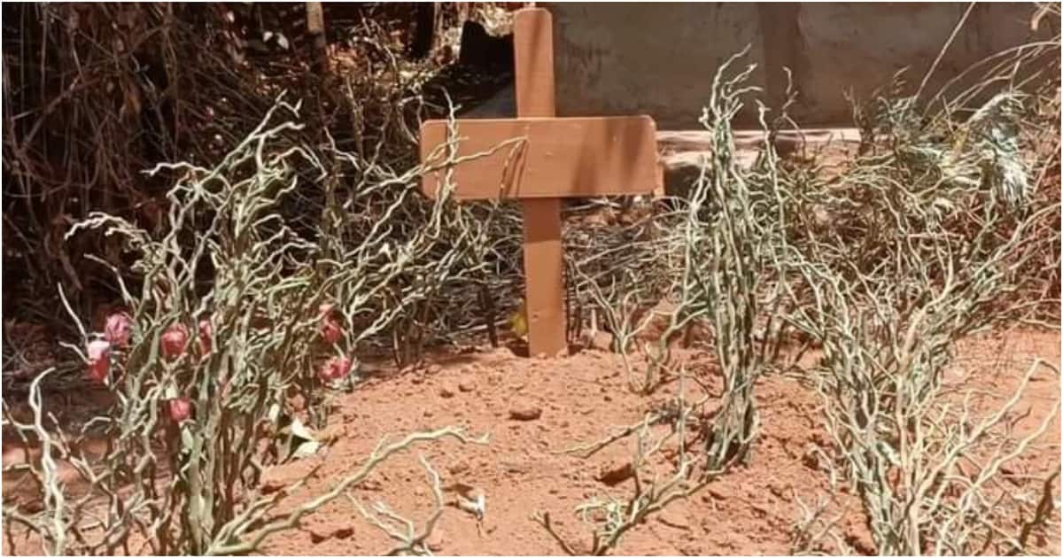 Le corps d'un homme de Nairobi détenu pour une facture de 1,3 million de KSh pendant 8 mois est enfin libéré