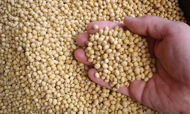 dry soybeans (Glycine max) at a market in Baubau City, Buton Island, Indonesia- CC via Kikimedia