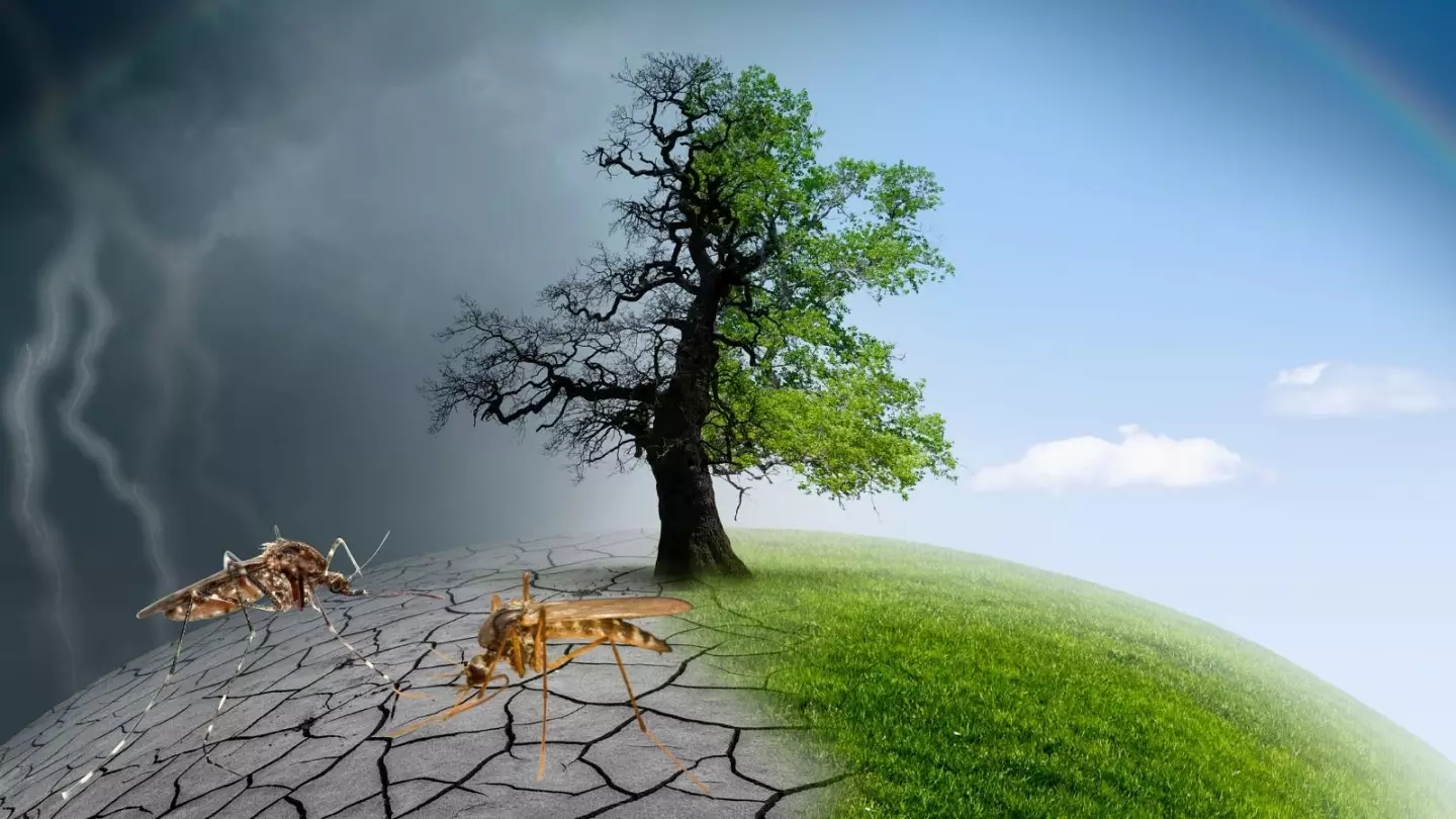 LUTTER CONTRE LES EFFETS DU CHANGEMENT CLIMATIQUE : TZ résout les applaudissements