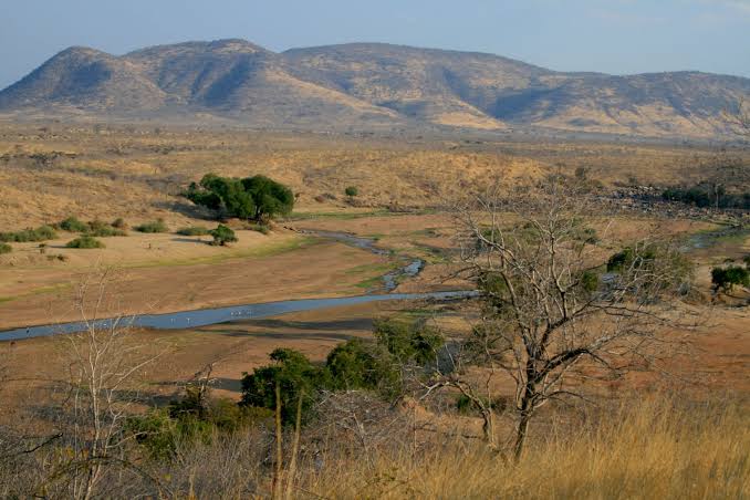 Les autorités tanzaniennes se battent pour sauver les rivières qui s'assèchent
