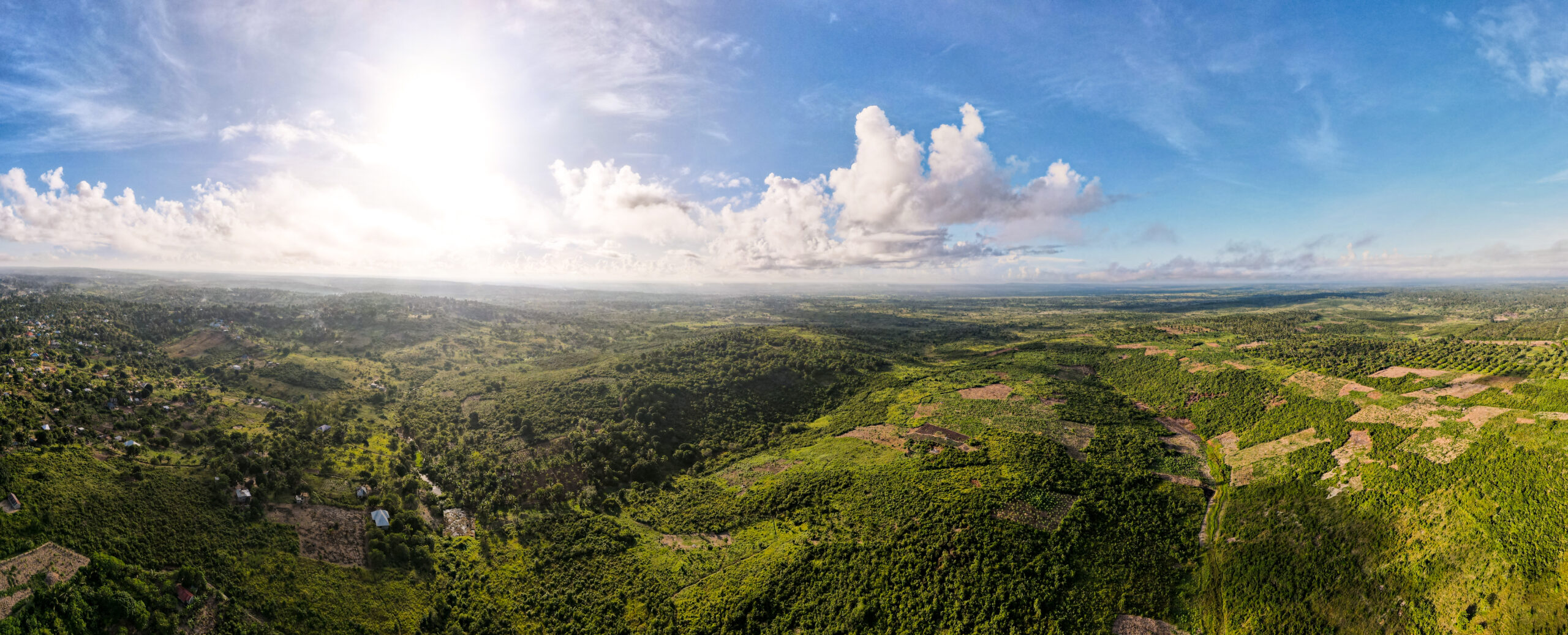 TZ sur la bonne voie en matière de restauration des paysages forestiers