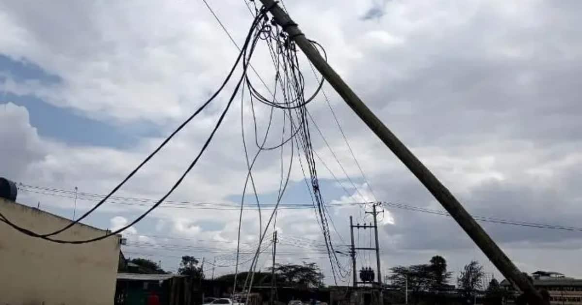 Siaya : Un garçon de 7 ans qui sauve un chien de compagnie succombe à des chocs électriques