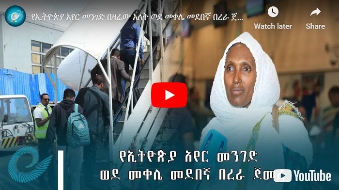 Ethiopian Airlines a repris ses vols vers Mekelle