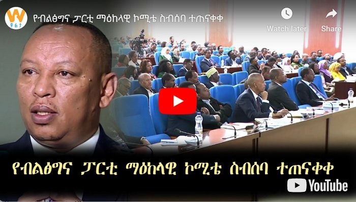 Fin de la réunion du comité central du parti au pouvoir