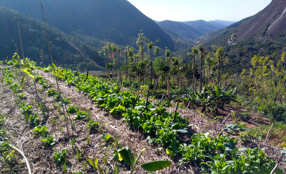 "L'agriculture reste stable malgré le changement climatique"