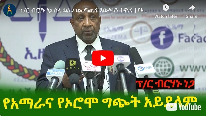Le leader d'EZEMA, Berhanu Nega, sur le massacre de Wollega