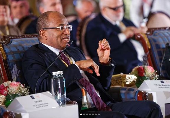 Mwinyi dévoile des méga projets pour les investisseurs