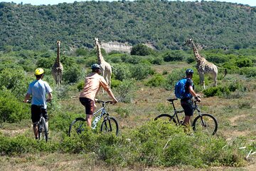 PÉDALEZ À NGORONGORO : 50 cyclistes parcourent 785kms pour promouvoir le tourisme local