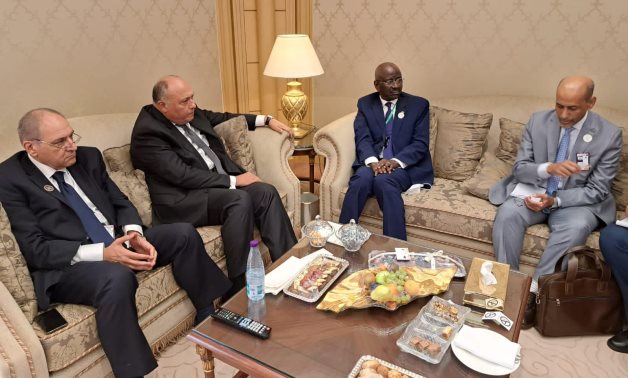 Shoukry s'entretient avec son homologue mauritanien