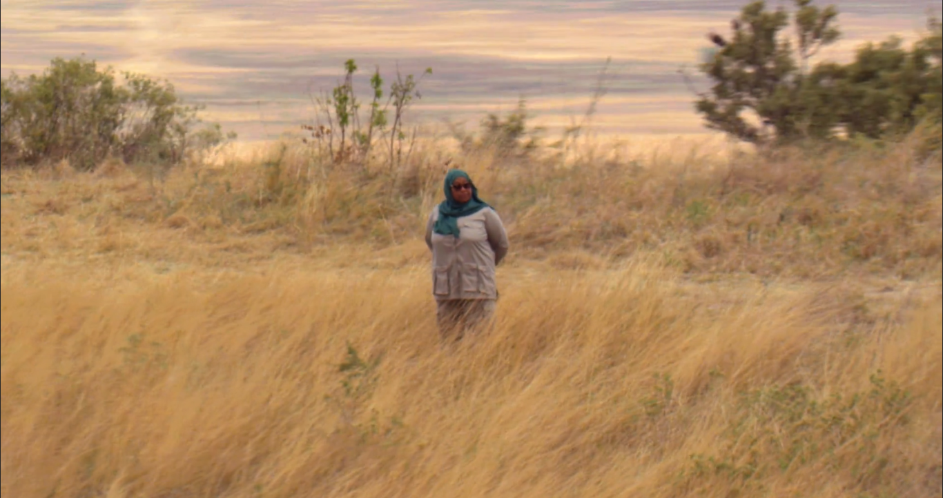 Une institution indienne récompense Samia pour le Royal Tour Film