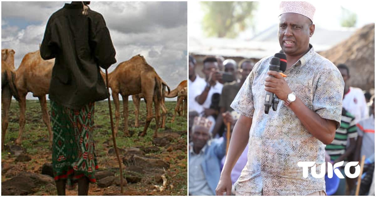 Marsabit : des bandits tuent 8 dont 2 garçons de trois ans et une fille de 14 ans