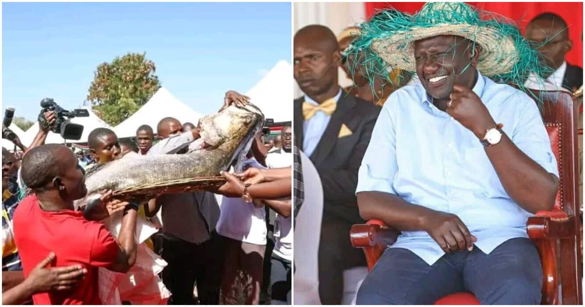 Les résidents de Homa Bay offrent à William Ruto 200 kg de poisson, un chapeau Unga et Gor Mahia