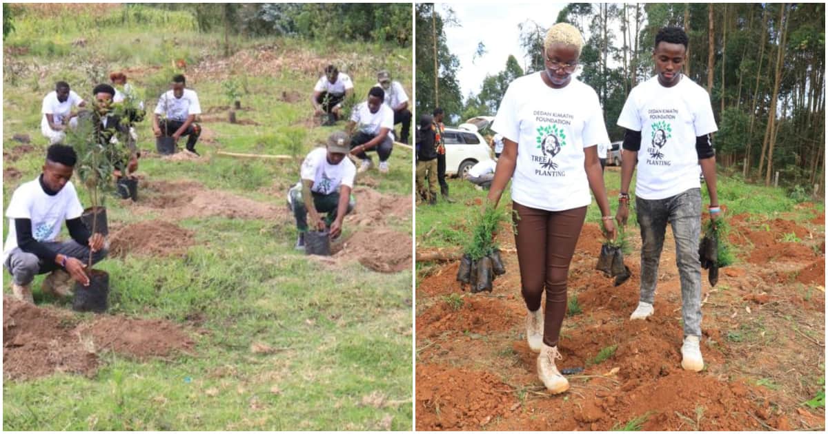 La 66e commémoration de Dedan Kimathi sera marquée par un exercice spécial de plantation d'arbres
