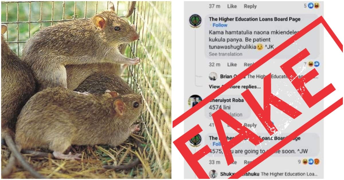 HELB prend ses distances avec la page Facebook disant aux étudiants universitaires de manger des rats