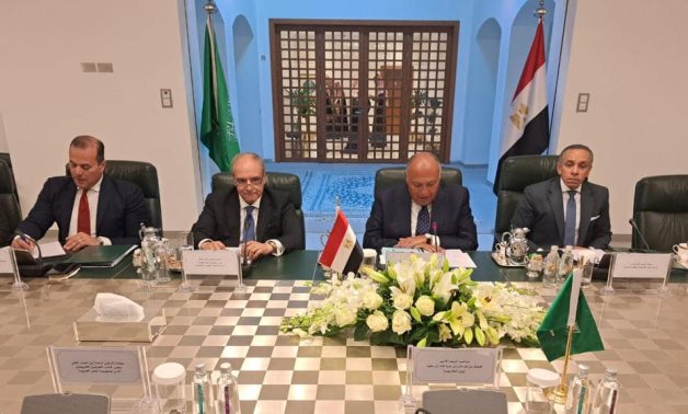 L'Égypte et l'Arabie saoudite appellent à la sortie des mercenaires et des forces étrangères de Libye dans un délai précis