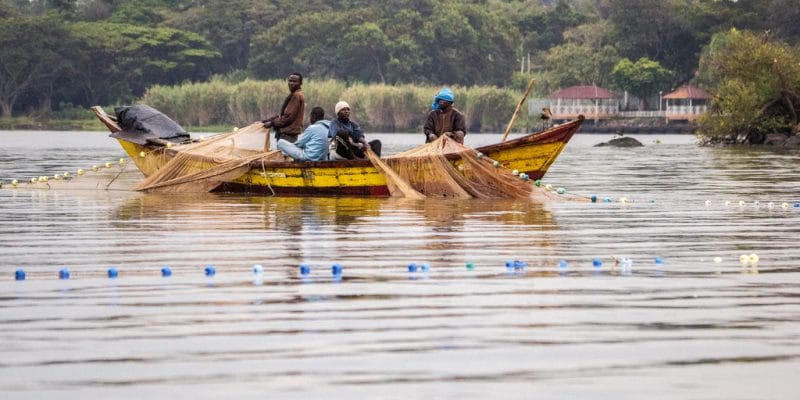 Le lac Victoria fait face à une surpêche intensive