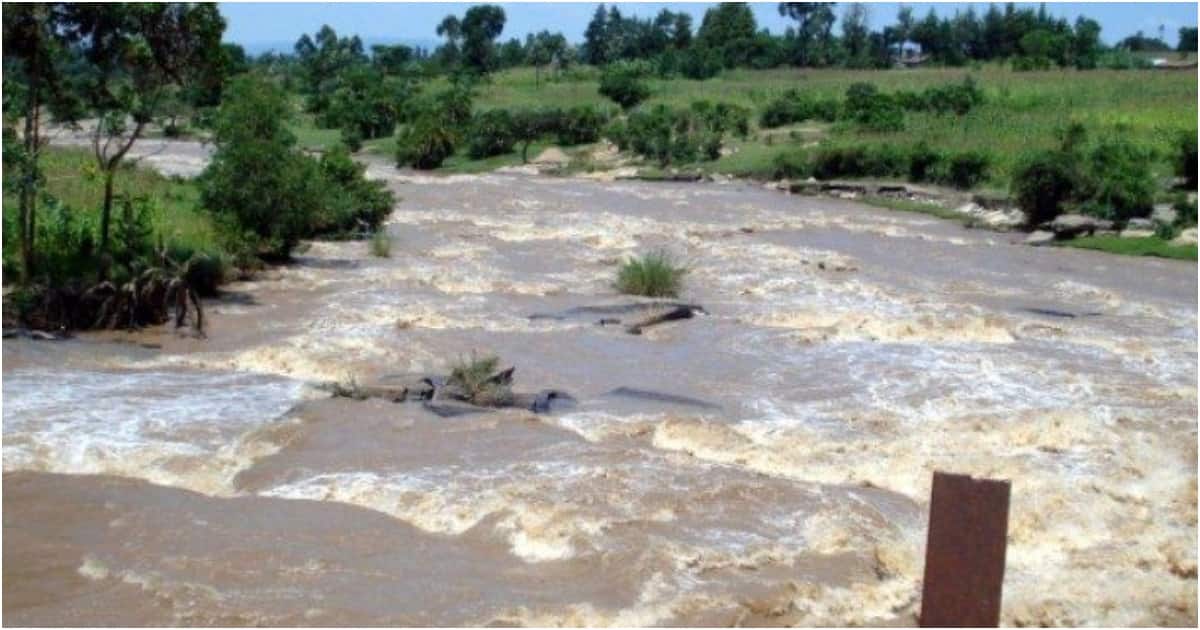 River Nzoia