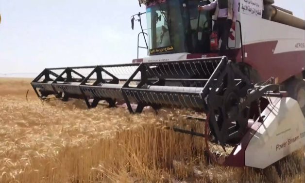 L'Égypte achète 535 000 tonnes de blé russe ;  les expéditions devraient arriver en février, mars