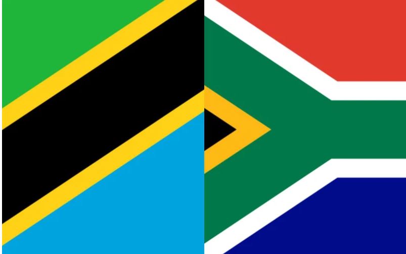 La Tanzanie et l'Afrique du Sud en plein essor