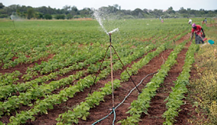 Les agriculteurs se réjouissent du soutien de l'AELE