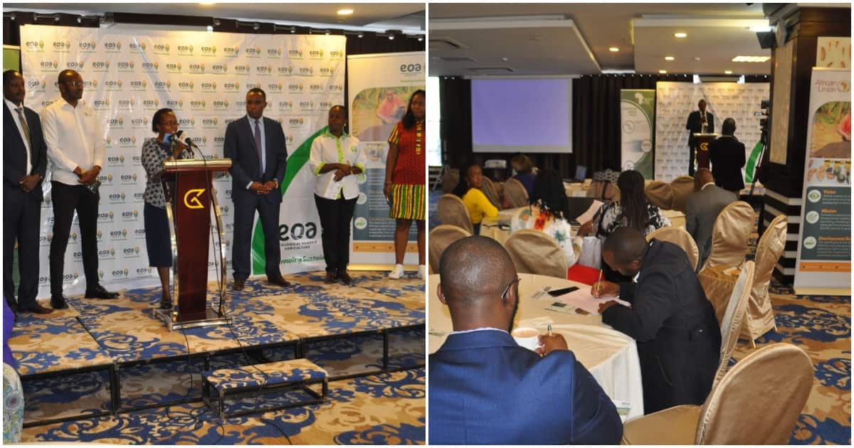 Nairobi : La Conférence mondiale sur l'agroécologie cherche à placer les Africains au cœur de la sécurité alimentaire