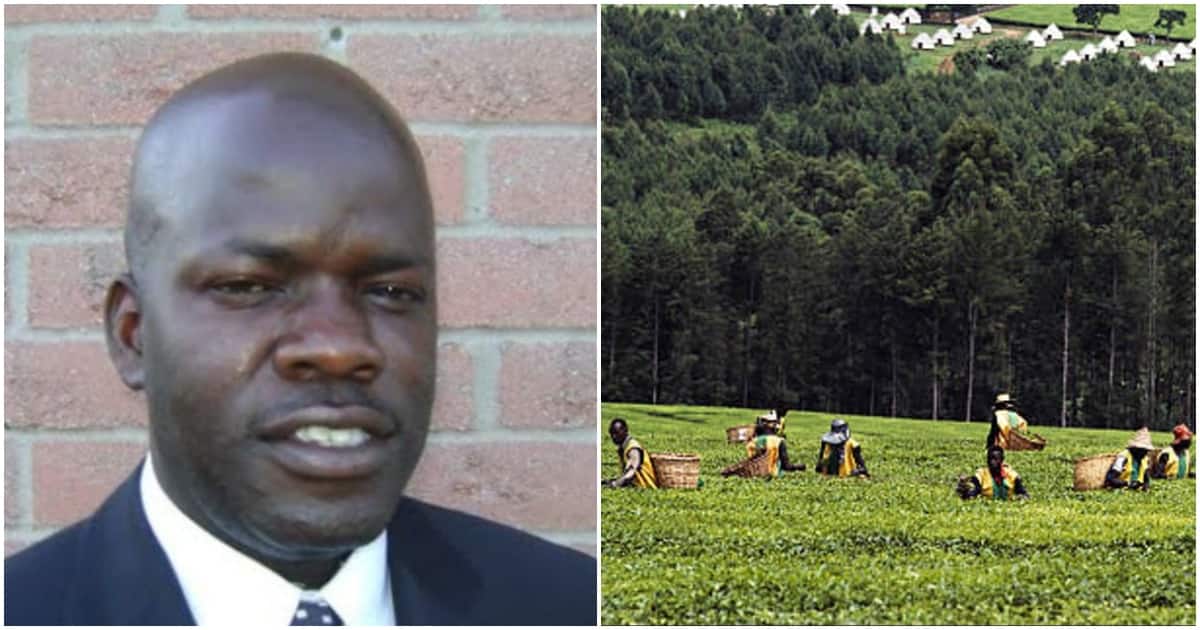 Godfrey Onyango: Un militant impliqué dans l'affaire d'exploitation sexuelle des entreprises de thé Kericho décède