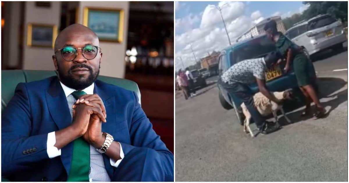Cliff Ombeta défend un couple capturé emballant les moutons volés d'Uhuru Kenyatta dans leur voiture