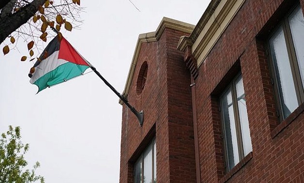 Palestine flag