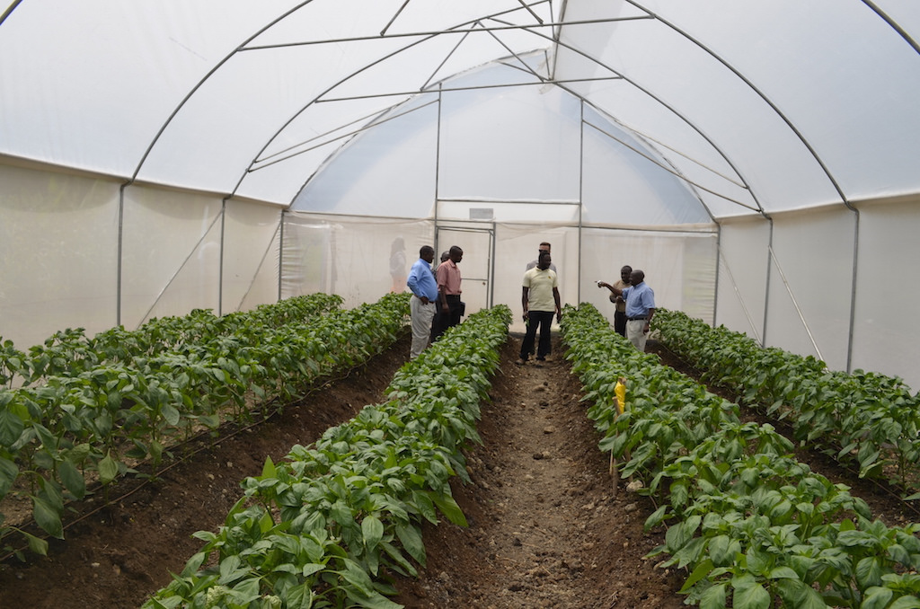Projet pour libérer le potentiel de l'horticulture