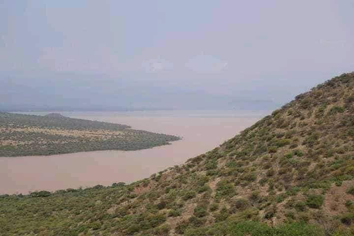 Sept corps récupérés du lac Chamo à Arba Minch