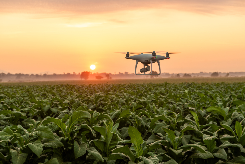 Des experts discutent de la feuille de route nationale pour transformer le système agroalimentaire
