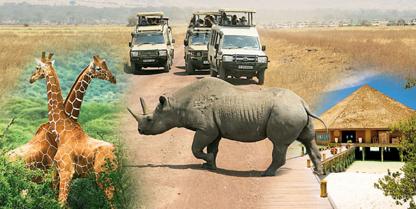 La Tanzanie enregistre une augmentation de 48% du nombre de touristes en deux mois