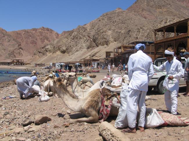 Bedouins in Sinai