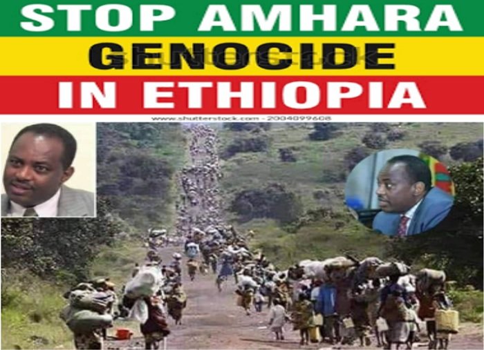 Un appel urgent aux intellectuels éthiopiens : Un silence sur le génocide d'Amara est pire que de le soutenir ouvertement !