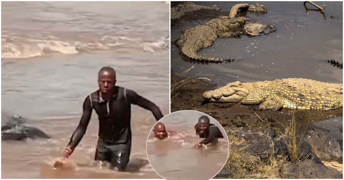 Narok: Des plongeurs audacieux nagent dans la rivière Mara infestée de crocodiles pour récupérer le conducteur et le conducteur qui se sont noyés
