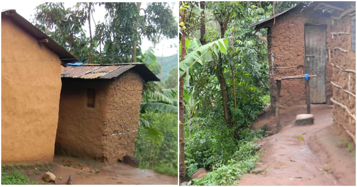 Vihiga: 8 écoliers affamés cuisinent, mangent Hawk en tant que parent à la recherche de nourriture