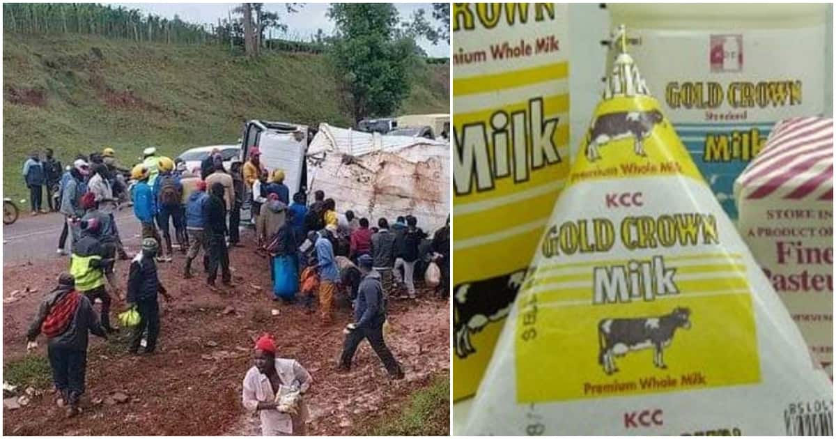 Les habitants de Kericho se bousculent pour avaler des litres de lait après le renversement d'un camion : "Ils n'ont même pas secouru le conducteur"