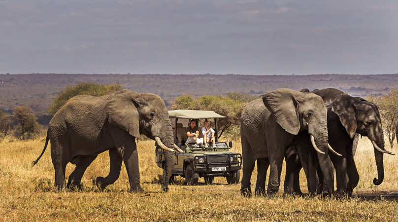 Comment les fonds de Covid-19 stimulent les activités touristiques de Tarangire