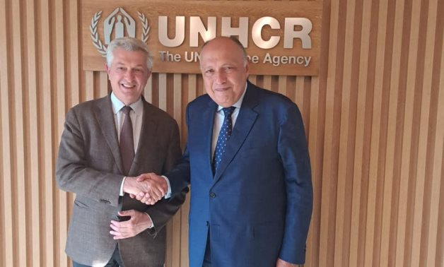 Egypt's Foreign Minister Sameh Shoukry (R) shakes hands with UN High Commissioner for Refugees Filippo Grandi (L) - Egyptian Foreign Ministry