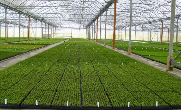 La Tanzanie et les Pays-Bas signent un accord e-cert pour stimuler le secteur horticole