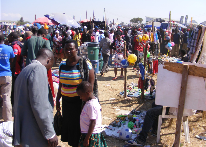 Le gouvernement modernise les terrains de Nanenane à Mbeya, Dodoma