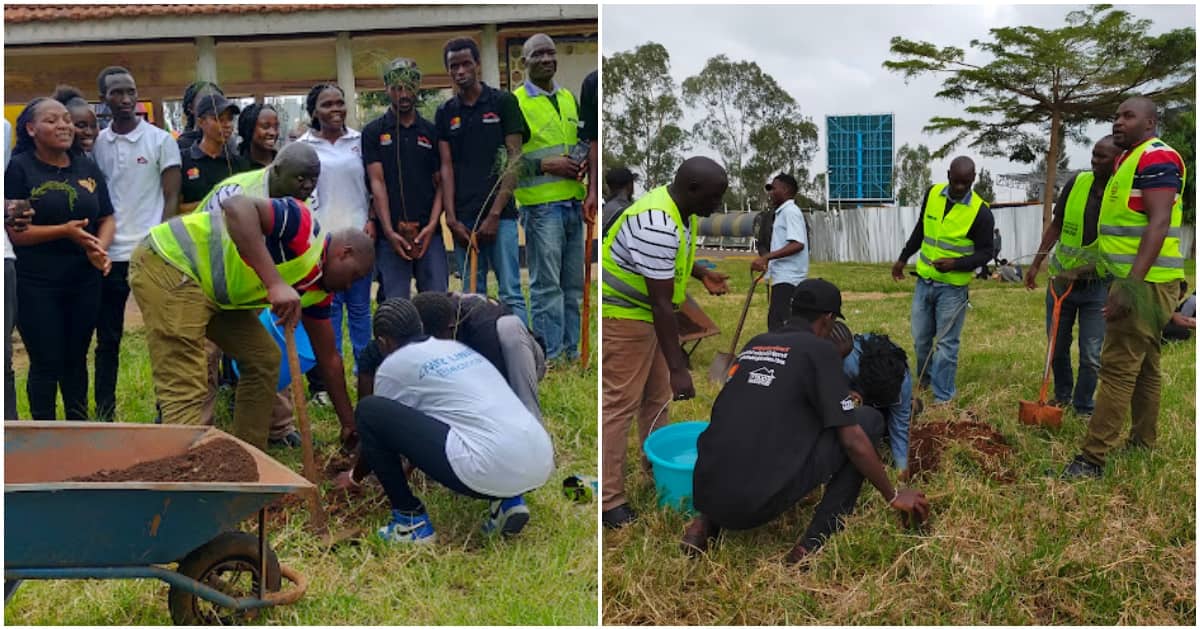 Rendre la capitale verte : le directeur général de la mobilité de Nairobi conduit les jeunes à planter plus de 500 arbres dans la ville