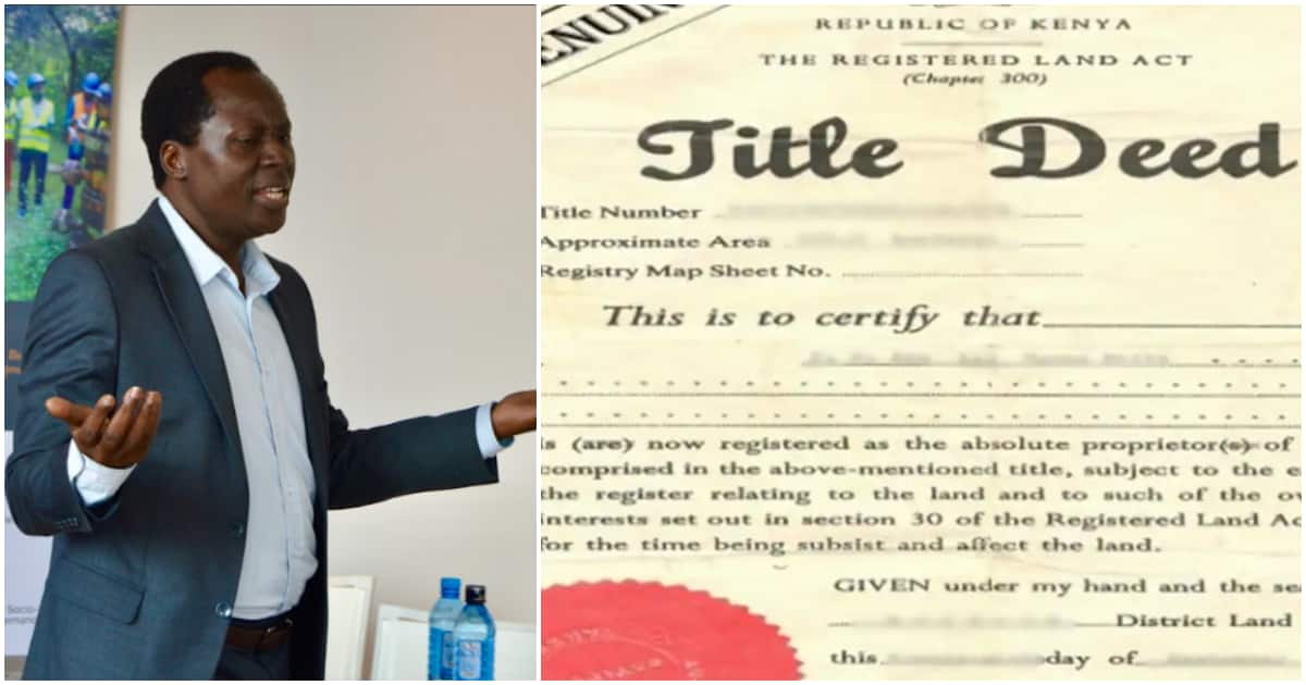 Le titre de propriété n'est qu'un papier : vous êtes le seul fautif si un terrain avec de faux documents vous est vendu