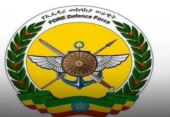 Ethiopian Defense Budget
