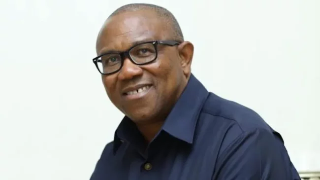 Émulez Peter Obi, les politiciens ont exhorté