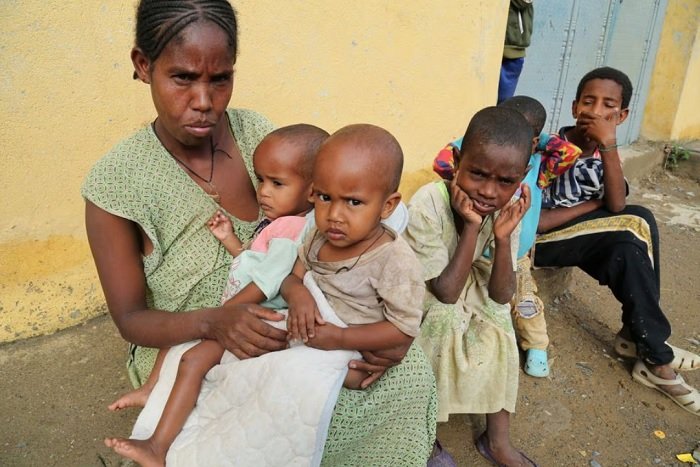 La famine au Tigré a tué un nombre considérable de personnes