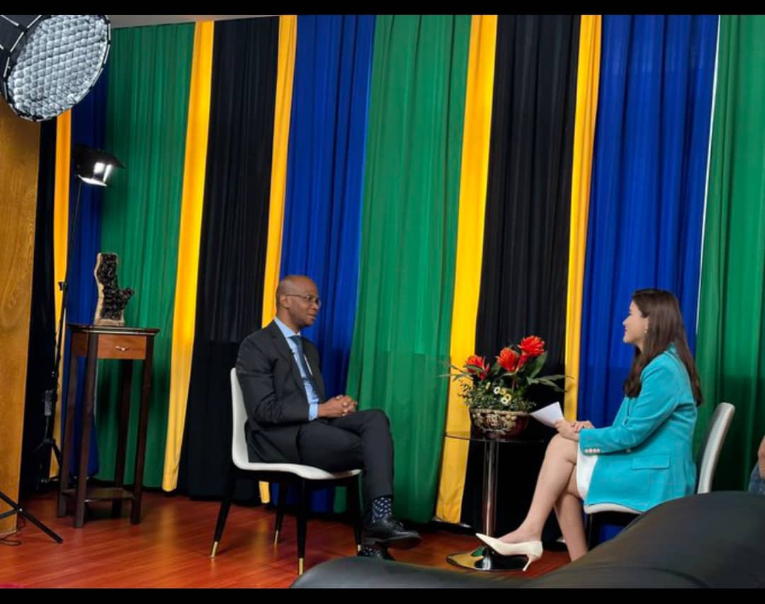 Le partenariat énergétique Tanzanie-Chine se renforce alors que le ministre Makamba explore la collaboration