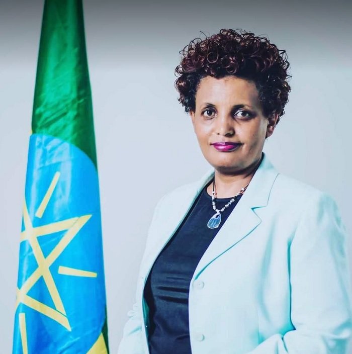 Le président de la commission électorale éthiopienne annonce sa démission